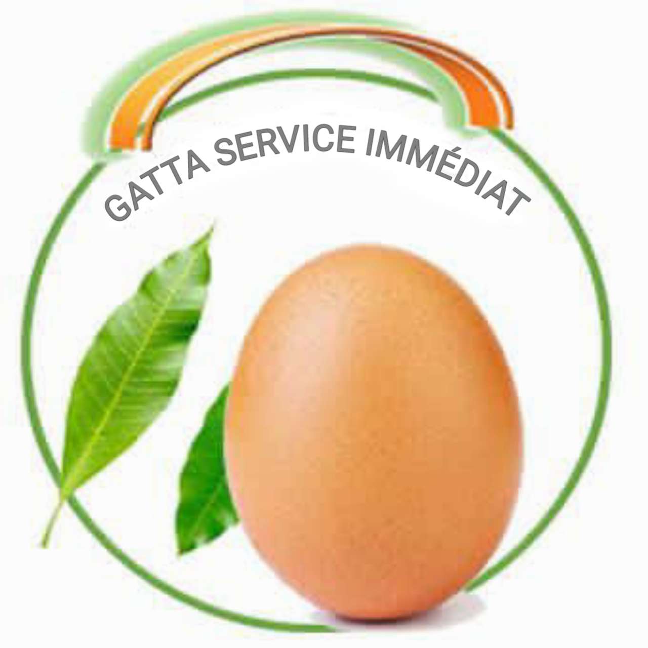 GATTA SERVICE IMMÉDIAT