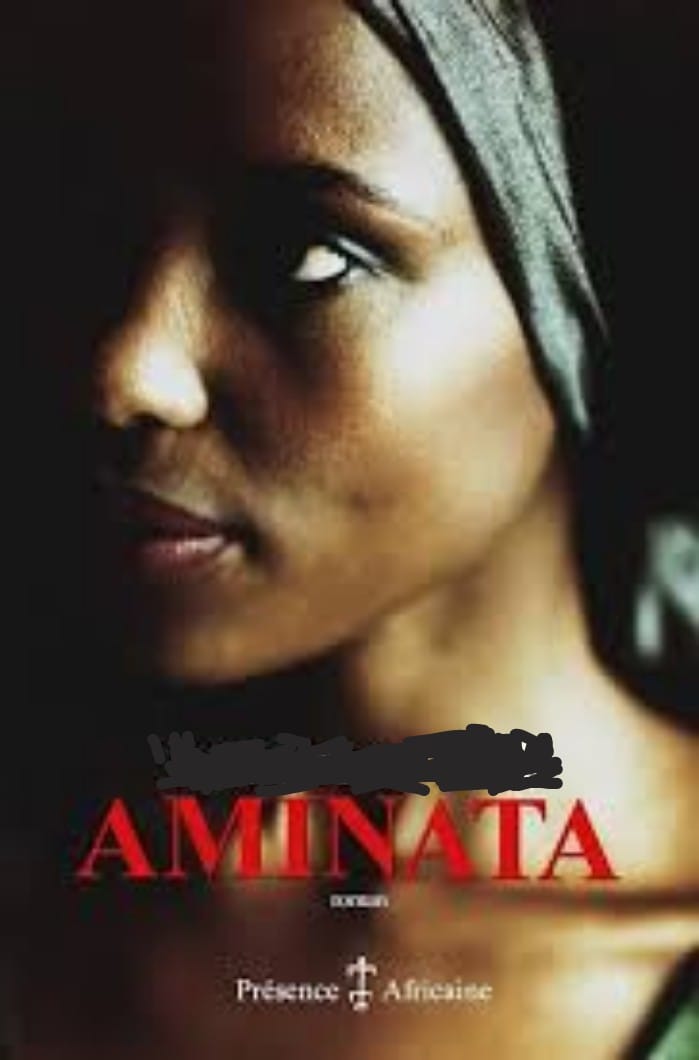 L'Histoire d'Aminata