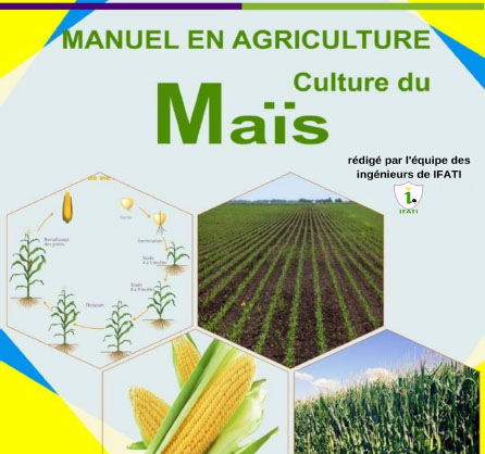 Manuel de la culture du maïs