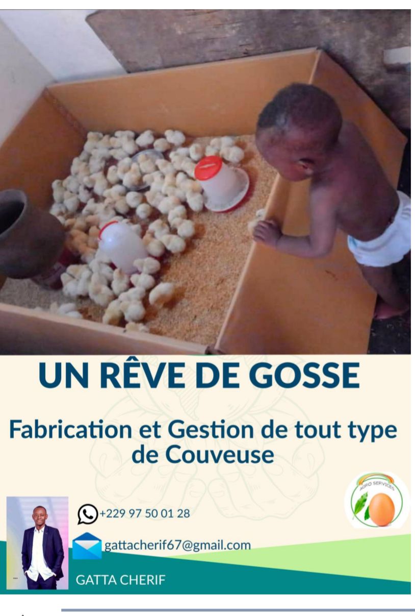 Un rêve de gosse