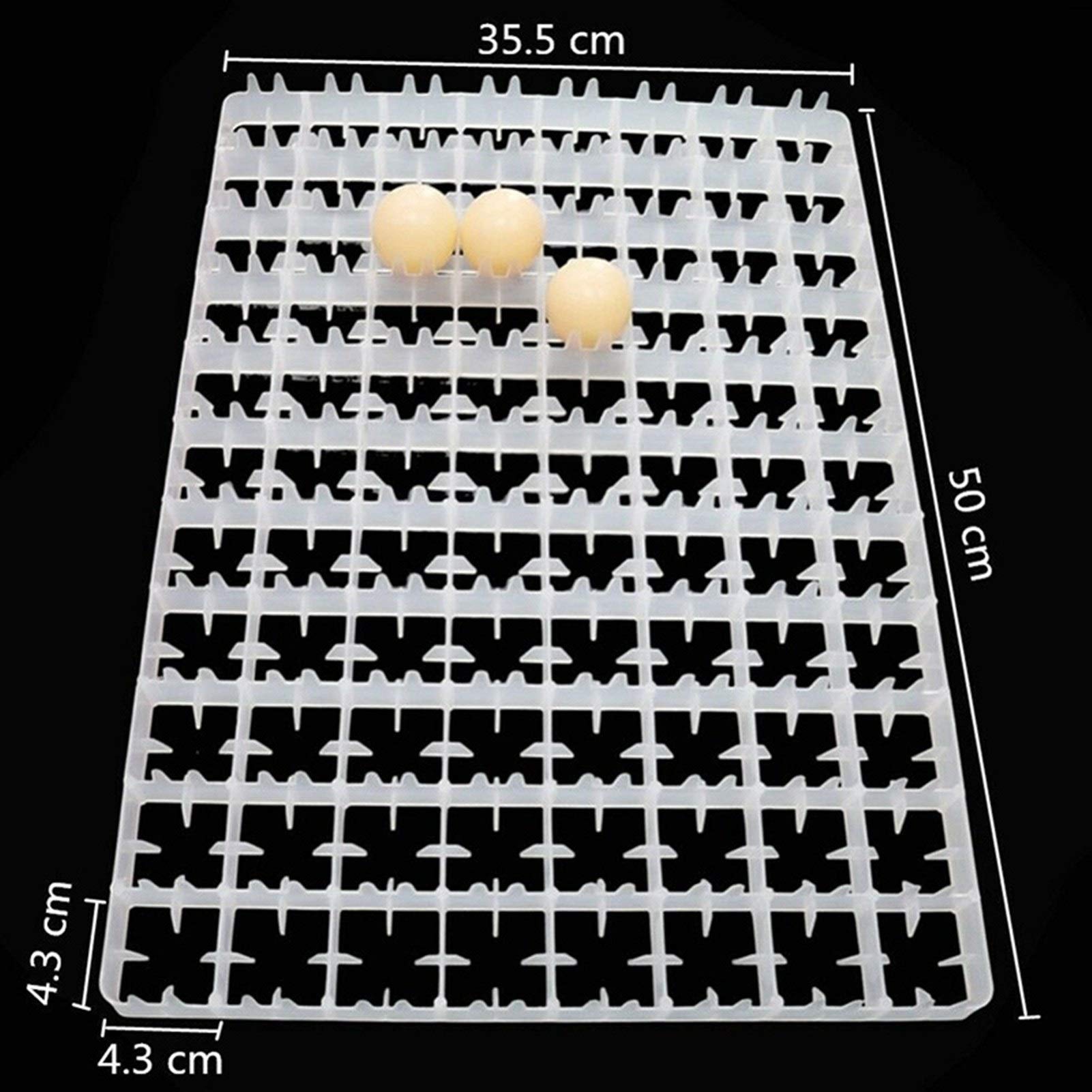 Alvéoles de 88 oeuf