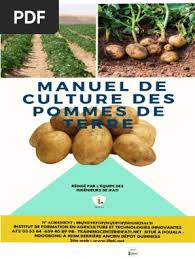 Manuel de Culture Des Pommes de Terre
