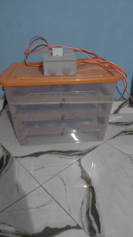 Couveuse manuelle de 100 œuf