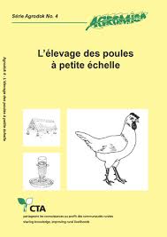 Elevage des poules à petite échelle